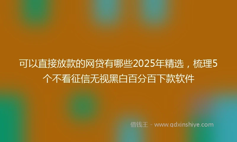 可以直接放款的网贷有哪些2025年精选,梳理5个不看征信无视黑白百分百下款软件