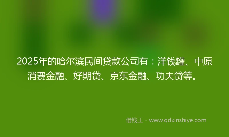 2025年的哈尔滨民间贷款公司有：洋钱罐、中原消费金融、好期贷、京东金融、功夫贷等。