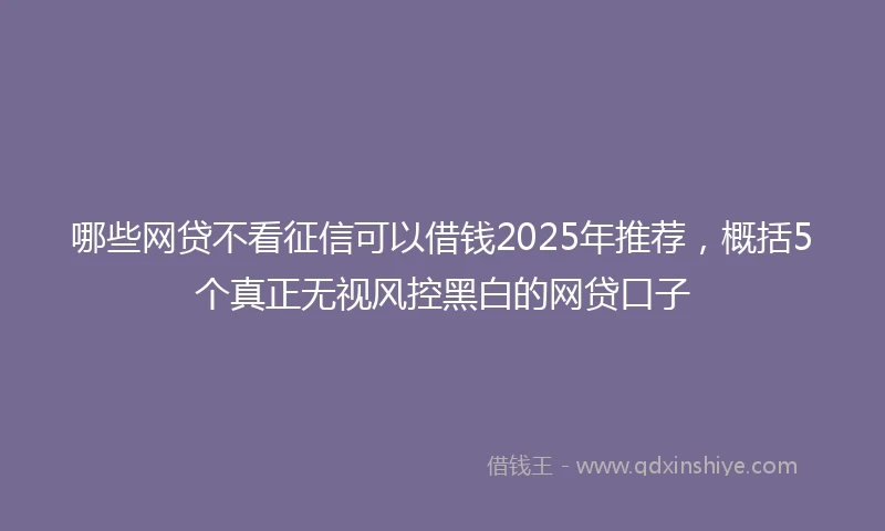 哪些网贷不看征信可以借钱2025年推荐,概括5个真正无视风控黑白的网贷口子