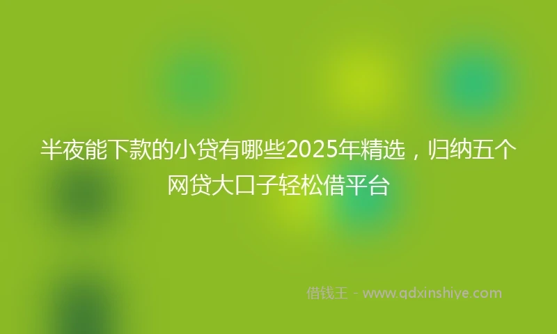 半夜能下款的小贷有哪些2025年精选，归纳五个网贷大口子轻松借平台