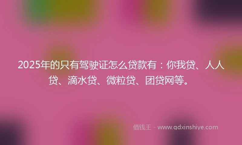 2025年的只有驾驶证怎么贷款有：你我贷、人人贷、滴水贷、微粒贷、团贷网等。