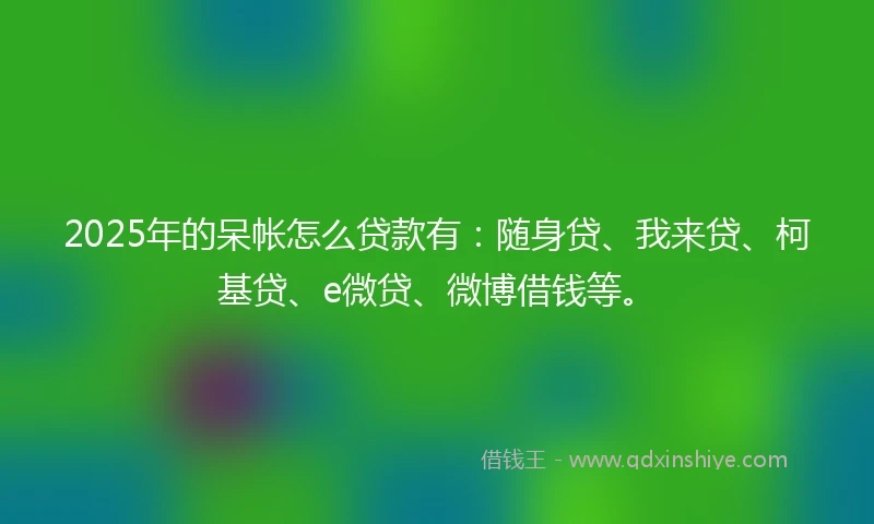 2025年的呆帐怎么贷款有：随身贷、我来贷、柯基贷、e微贷、微博借钱等。