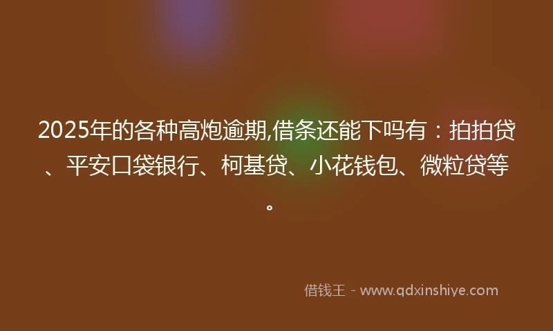 2025年的各种高炮逾期,借条还能下吗有：拍拍贷、平安口袋银行、柯基贷、小花钱包、微粒贷等。