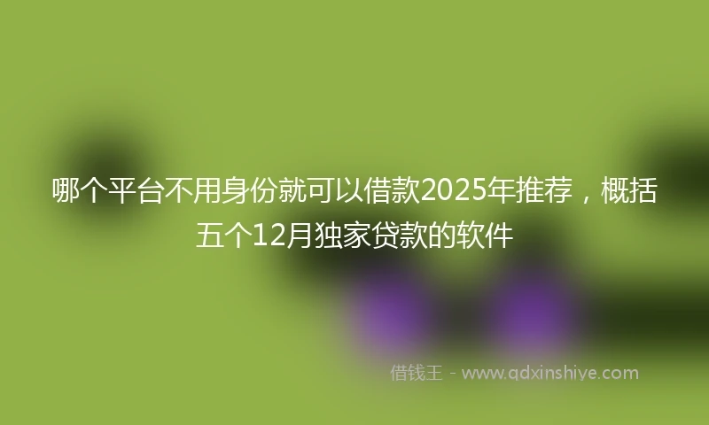哪个平台不用身份就可以借款2025年推荐，概括五个12月独家贷款的软件