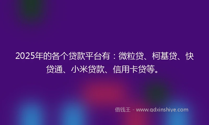 2025年的各个贷款平台有：微粒贷、柯基贷、快贷通、小米贷款、信用卡贷等。