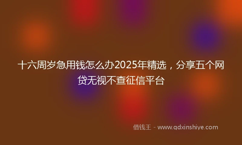 十六周岁急用钱怎么办2025年精选，分享五个网贷无视不查征信平台