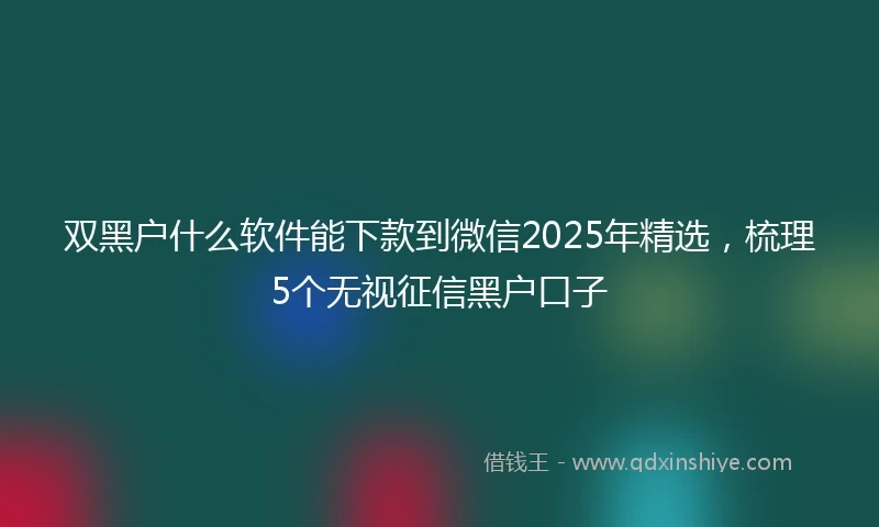 双黑户什么软件能下款到微信2025年精选，梳理5个无视征信黑户口子