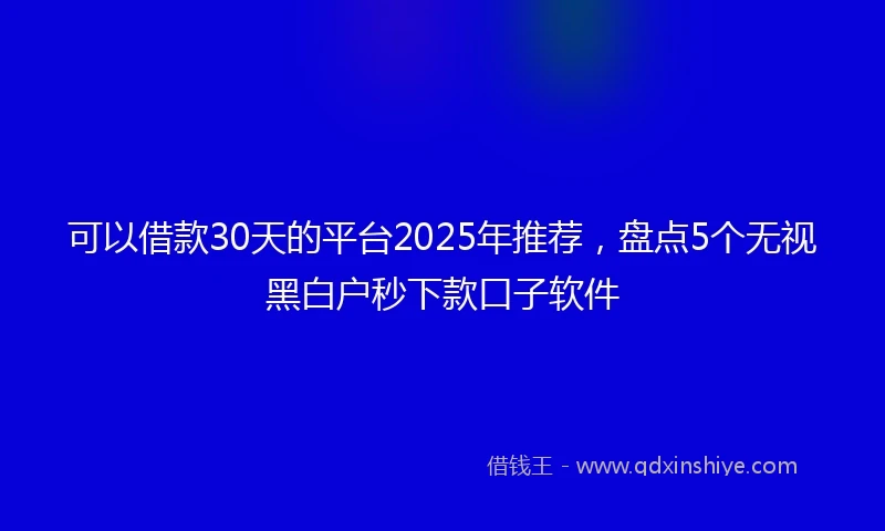 可以借款30天的平台2025年推荐,盘点5个无视黑白户秒下款口子软件