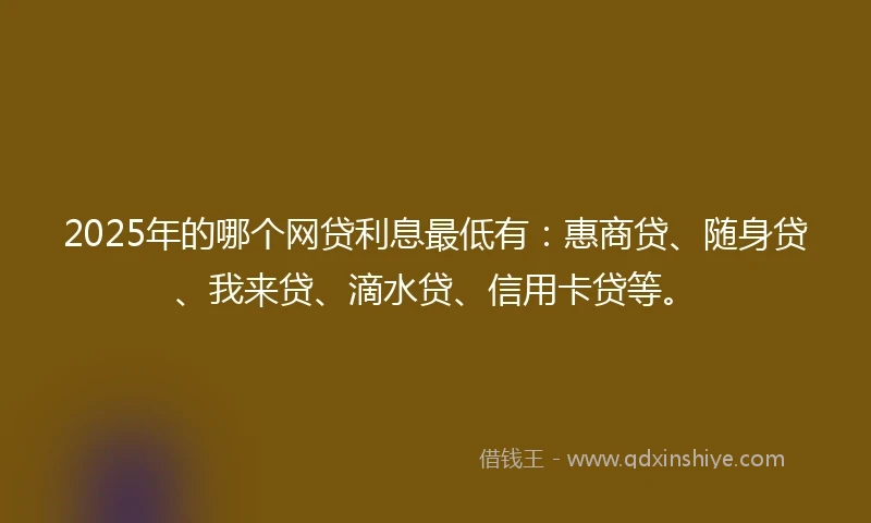 2025年的哪个网贷利息最低有：惠商贷、随身贷、我来贷、滴水贷、信用卡贷等。