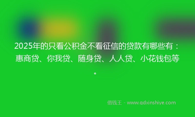 2025年的只看公积金不看征信的贷款有哪些有：惠商贷、你我贷、随身贷、人人贷、小花钱包等。
