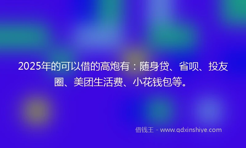 2025年的可以借的高炮有：随身贷、省呗、投友圈、美团生活费、小花钱包等。
