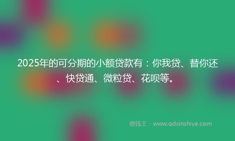2025年的可分期的小额贷款有：你我贷、替你还、快贷通、微粒贷、花呗等。