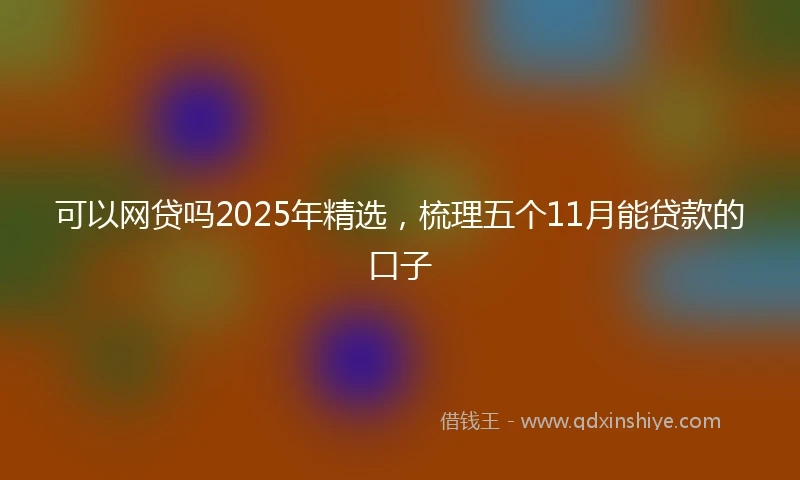 可以网贷吗2025年精选，梳理五个11月能贷款的口子