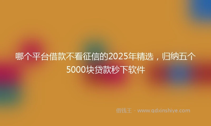 哪个平台借款不看征信的2025年精选，归纳五个5000块贷款秒下软件