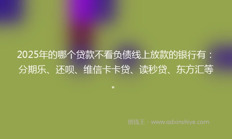 2025年的哪个贷款不看负债线上放款的银行有：分期乐、还呗、维信卡卡贷、读秒贷、东方汇等。