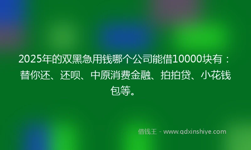 2025年的双黑急用钱哪个公司能借10000块有：替你还、还呗、中原消费金融、拍拍贷、小花钱包等。