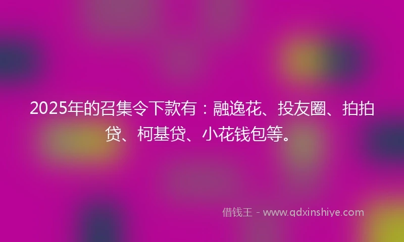 2025年的召集令下款有：融逸花、投友圈、拍拍贷、柯基贷、小花钱包等。