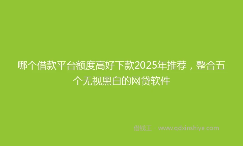 哪个借款平台额度高好下款2025年推荐，整合五个无视黑白的网贷软件