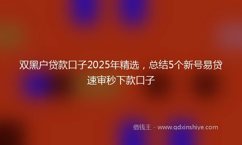 双黑户贷款口子2025年精选，总结5个新号易贷速审秒下款口子