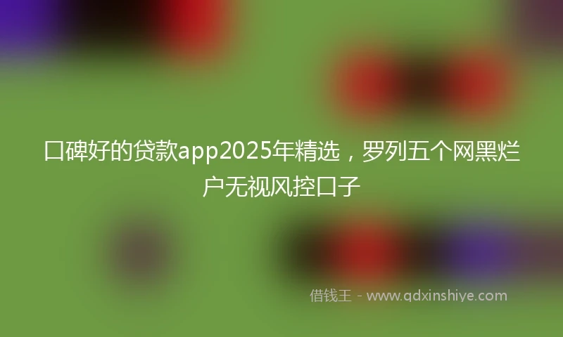口碑好的贷款app2025年精选，罗列五个网黑烂户无视风控口子