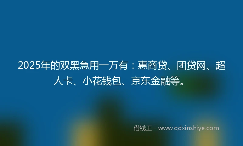 2025年的双黑急用一万有：惠商贷、团贷网、超人卡、小花钱包、京东金融等。