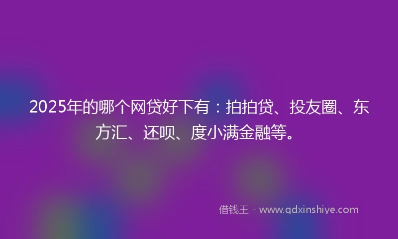 2025年的哪个网贷好下有：拍拍贷、投友圈、东方汇、还呗、度小满金融等。