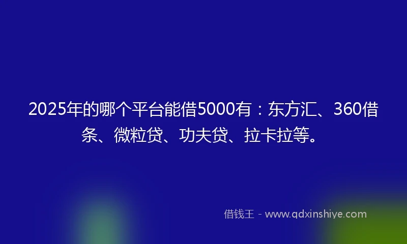 2025年的哪个平台能借5000有：东方汇、360借条、微粒贷、功夫贷、拉卡拉等。
