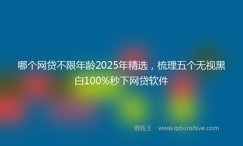 哪个网贷不限年龄2025年精选，梳理五个无视黑白100%秒下网贷软件