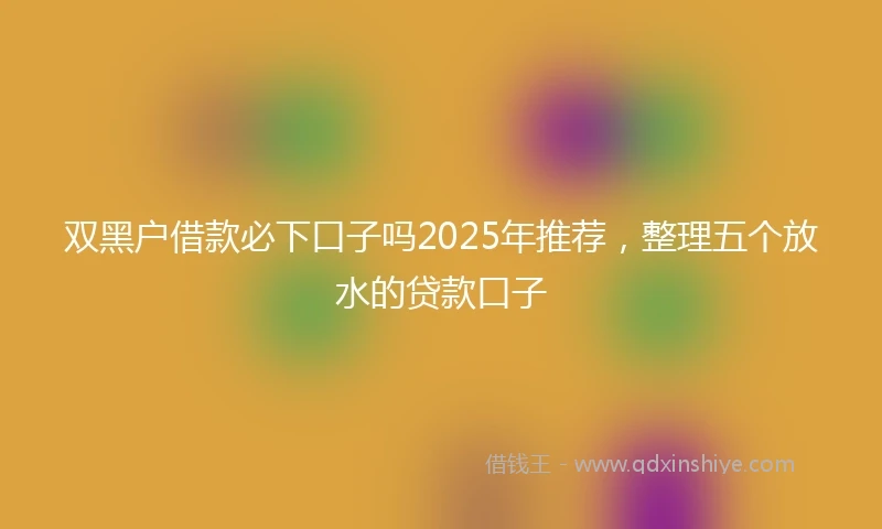 双黑户借款必下口子吗2025年推荐，整理五个放水的贷款口子