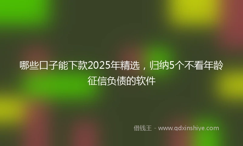 哪些口子能下款2025年精选，归纳5个不看年龄征信负债的软件