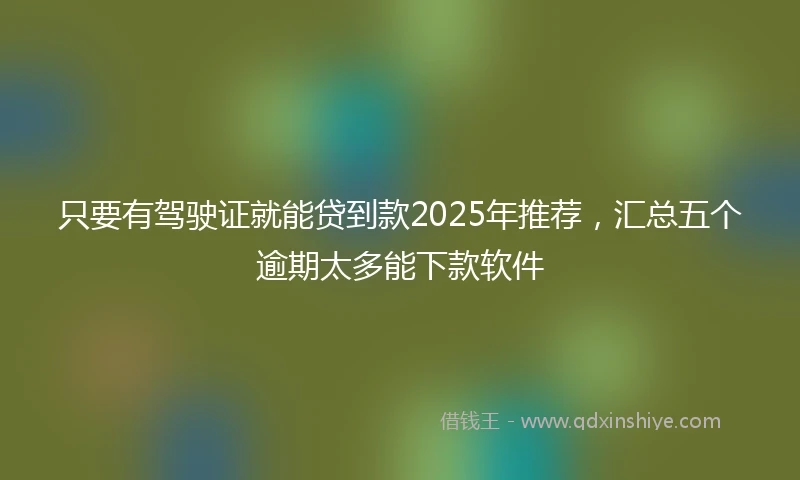 只要有驾驶证就能贷到款2025年推荐，汇总五个逾期太多能下款软件