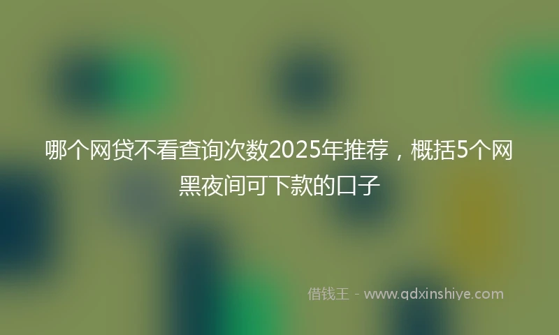 哪个网贷不看查询次数2025年推荐，概括5个网黑夜间可下款的口子