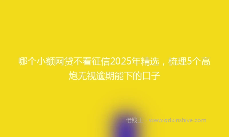哪个小额网贷不看征信2025年精选，梳理5个高炮无视逾期能下的口子