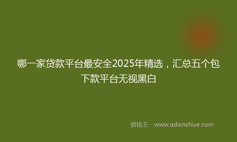 哪一家贷款平台最安全2025年精选，汇总五个包下款平台无视黑白