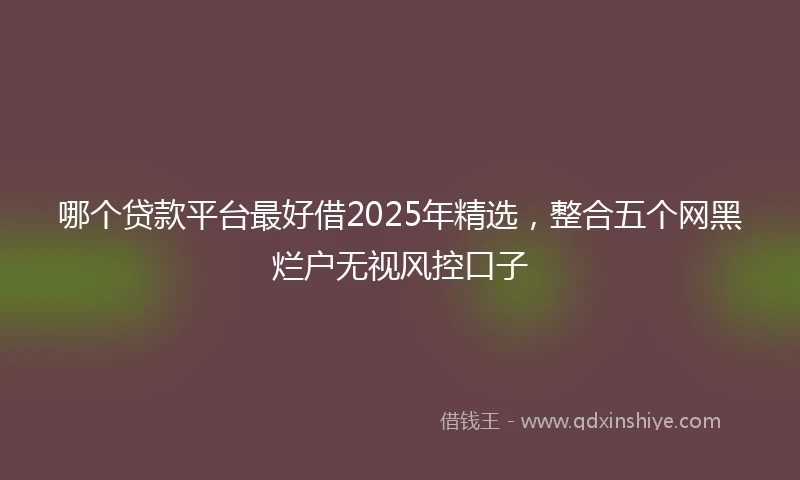 哪个贷款平台最好借2025年精选，整合五个网黑烂户无视风控口子