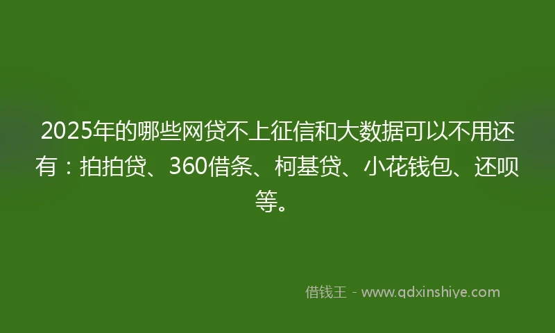 2025年的哪些网贷不上征信和大数据可以不用还有：拍拍贷、360借条、柯基贷、小花钱包、还呗等。