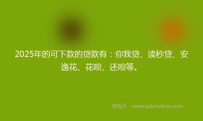 2025年的可下款的贷款有：你我贷、读秒贷、安逸花、花呗、还呗等。