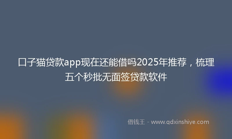 口子猫贷款app现在还能借吗2025年推荐，梳理五个秒批无面签贷款软件