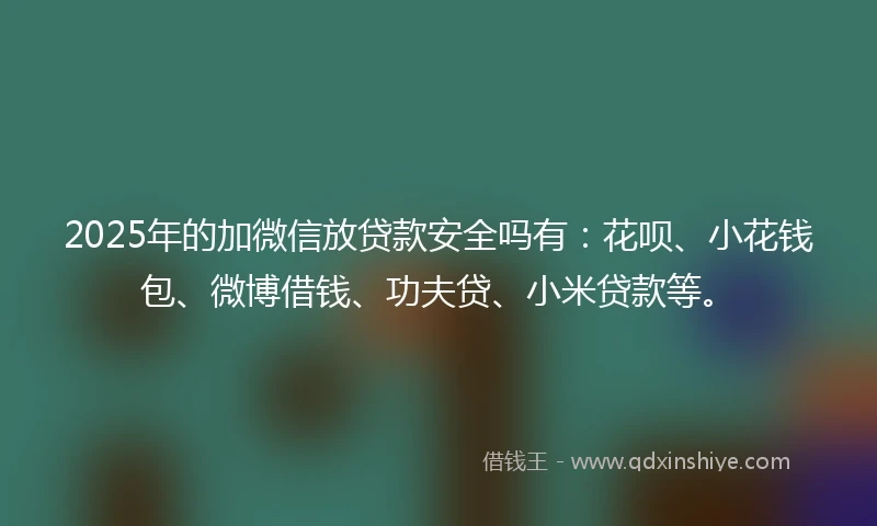 2025年的加微信放贷款安全吗有：花呗、小花钱包、微博借钱、功夫贷、小米贷款等。