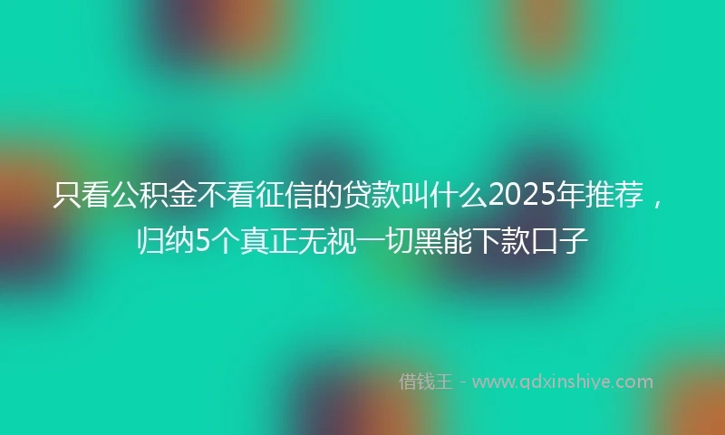只看公积金不看征信的贷款叫什么2025年推荐，归纳5个真正无视一切黑能下款口子