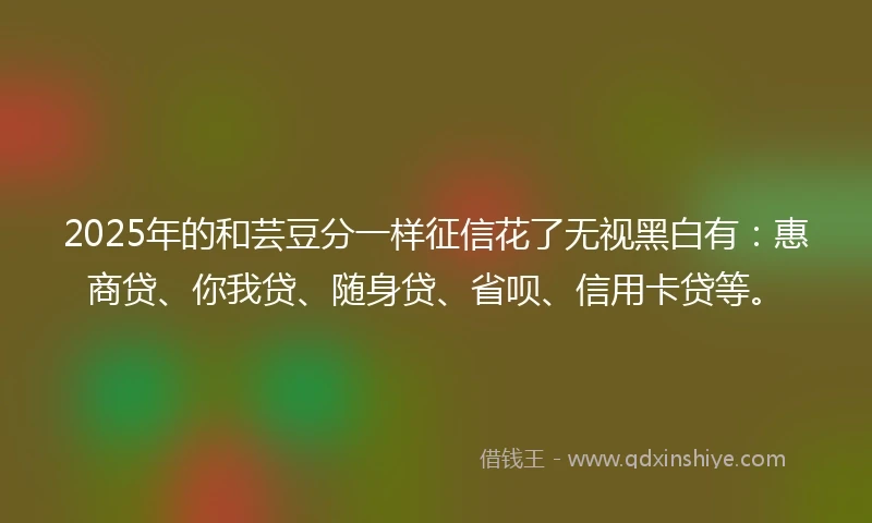 2025年的和芸豆分一样征信花了无视黑白有：惠商贷、你我贷、随身贷、省呗、信用卡贷等。