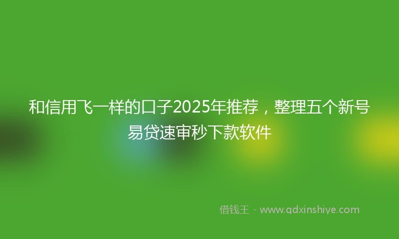 和信用飞一样的口子2025年推荐，整理五个新号易贷速审秒下款软件