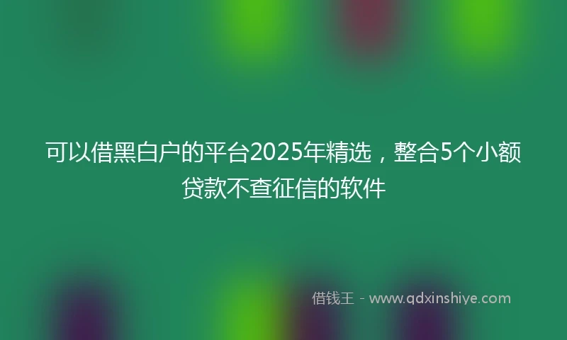 可以借黑白户的平台2025年精选,整合5个小额贷款不查征信的软件