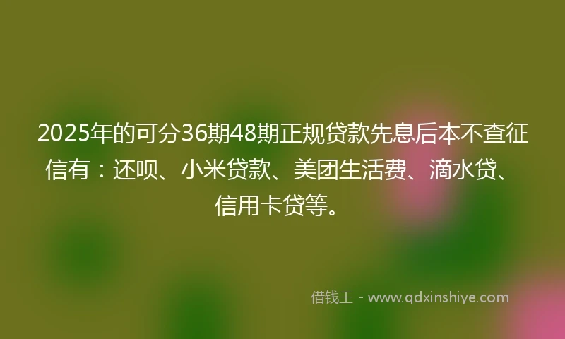 2025年的可分36期48期正规贷款先息后本不查征信有:还呗、小米贷款、美团生活费、滴水贷、信用卡贷等。