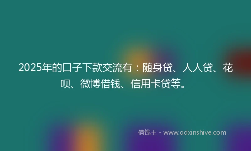 2025年的口子下款交流有：随身贷、人人贷、花呗、微博借钱、信用卡贷等。