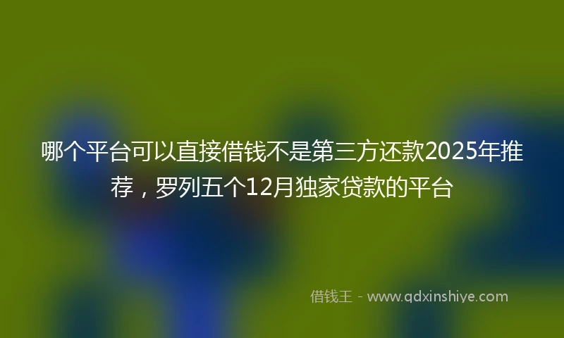 哪个平台可以直接借钱不是第三方还款2025年推荐，罗列五个12月独家贷款的平台