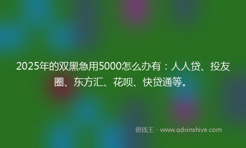 2025年的双黑急用5000怎么办有：人人贷、投友圈、东方汇、花呗、快贷通等。
