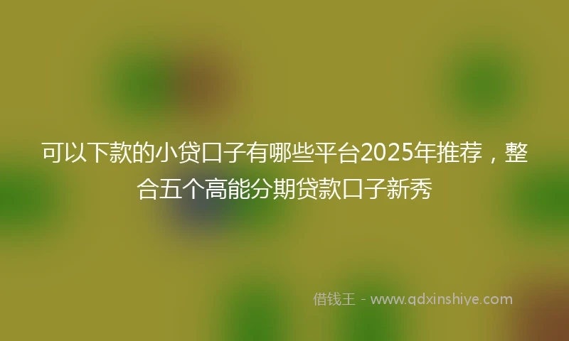 可以下款的小贷口子有哪些平台2025年推荐，整合五个高能分期贷款口子新秀