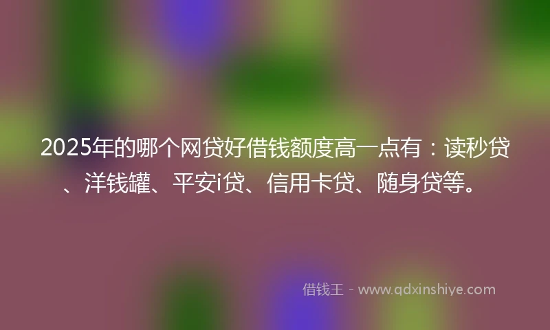 2025年的哪个网贷好借钱额度高一点有：读秒贷、洋钱罐、平安i贷、信用卡贷、随身贷等。