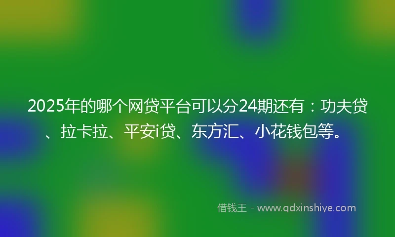 2025年的哪个网贷平台可以分24期还有：功夫贷、拉卡拉、平安i贷、东方汇、小花钱包等。